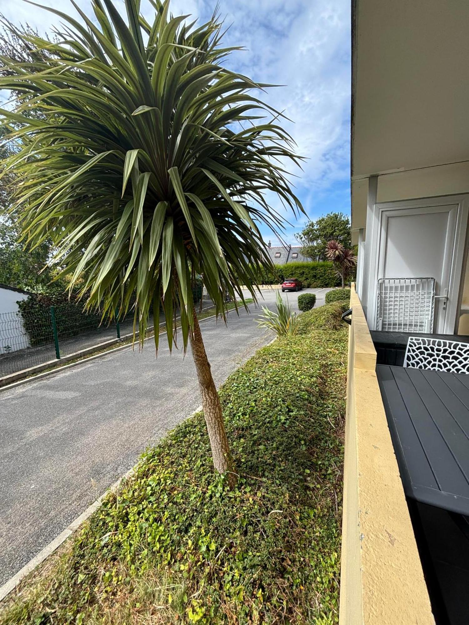 Appartement Studio 4 Personnes Dans Residence Avec Piscine Quiberon Exterior photo